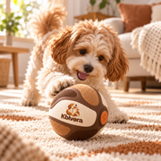 Avelorq™ TensionChase Interactive Ball